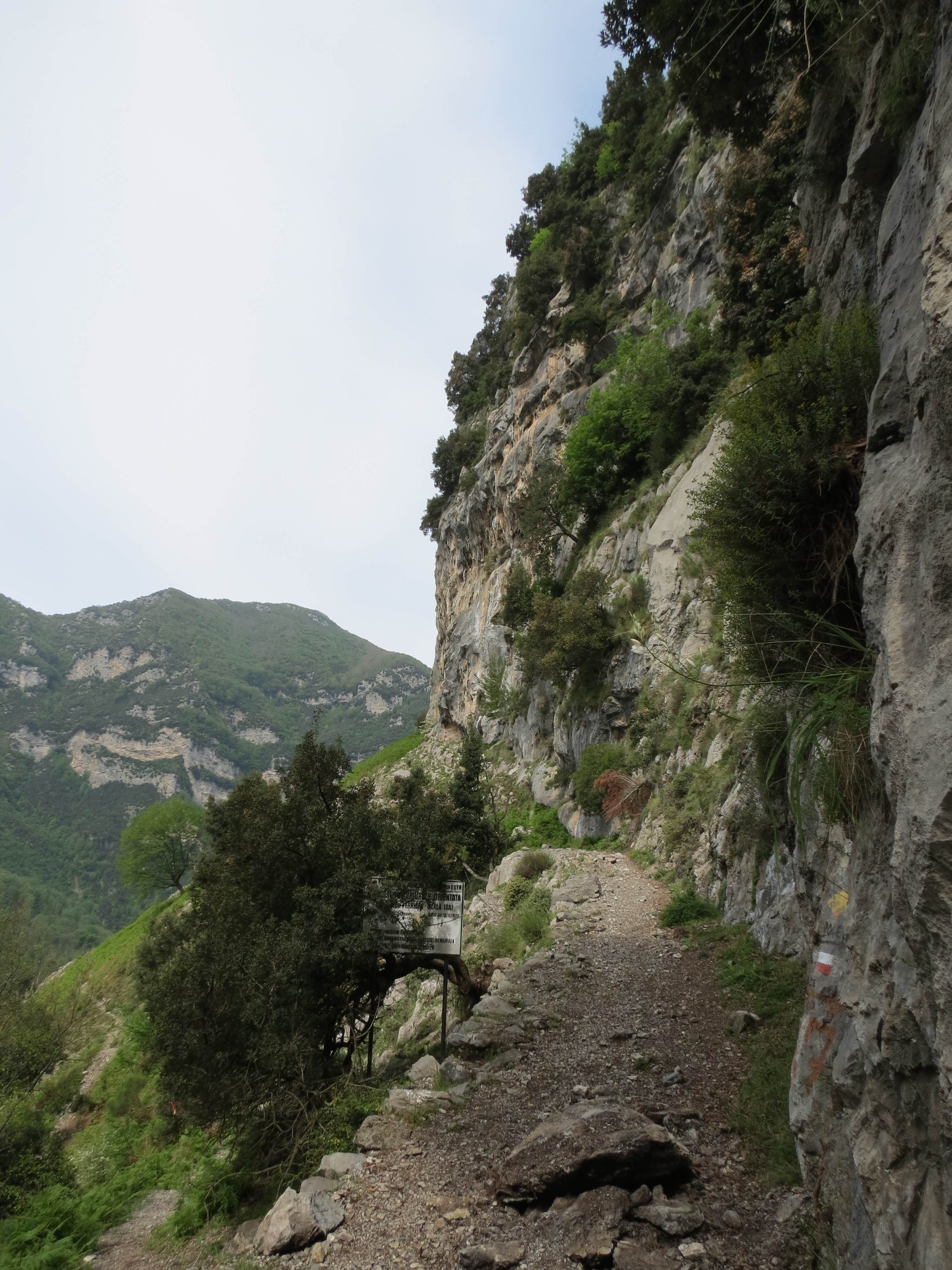 Narrow trail in the Valle